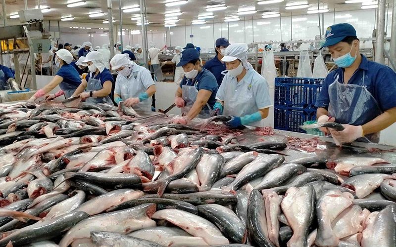  Xuất khẩu cá tra sang Mỹ có thể chứng kiến một sự tái định vị thị phần cho tất cả các nhà xuất khẩu cá tra Việt Nam.