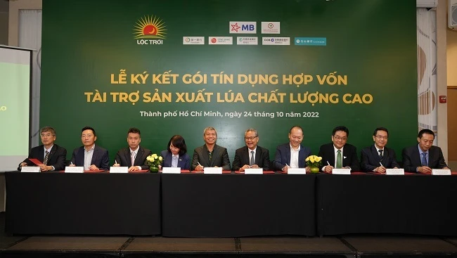 100 triệu USD tài trợ vốn cho dự án gạo chất lượng cao của Việt Nam