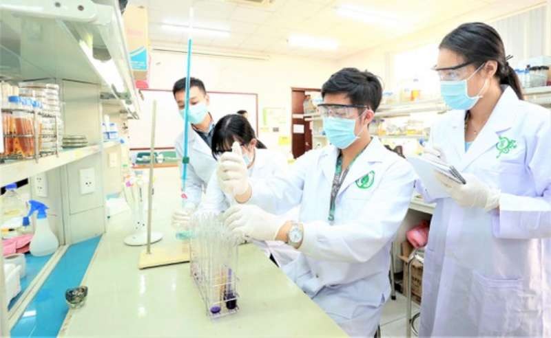市國立大學所屬國際大學學生在生物工藝學實驗室工作。