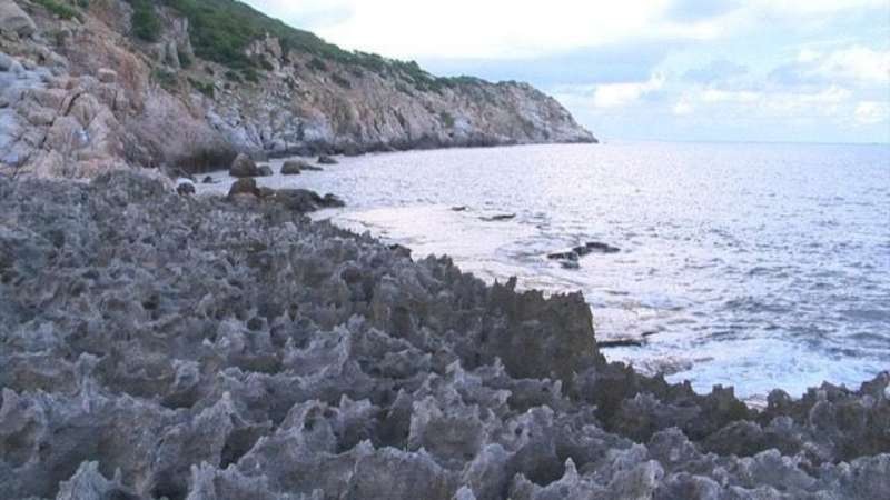 已有上百萬年歷史的萊洞古珊瑚礁。