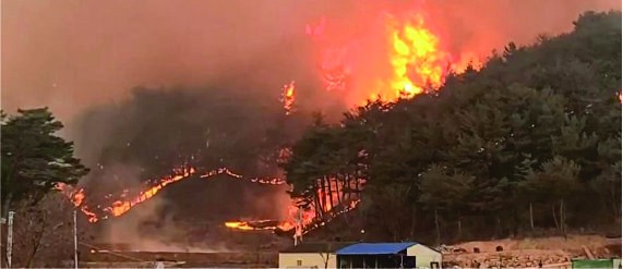 　　廣尚北道蔚珍郡北面發生森林火災。