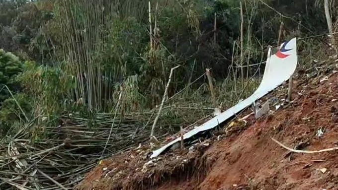 救援部隊發現客機殘骸和碎片。圖源：互聯網