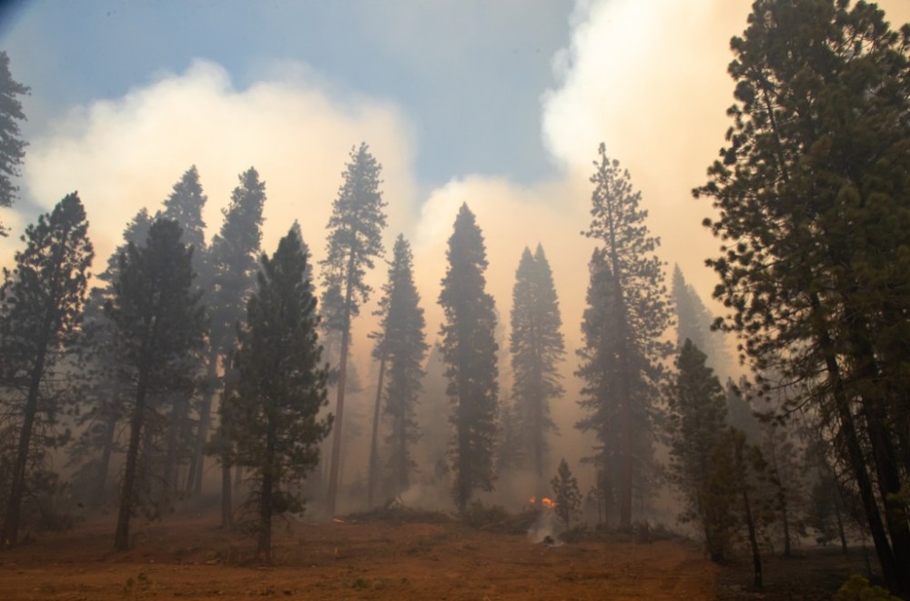 2021年8月5日在美國加利福尼亞州北部拉森國家森林拍攝的迪克西山火現場。新華社發（董旭東攝）