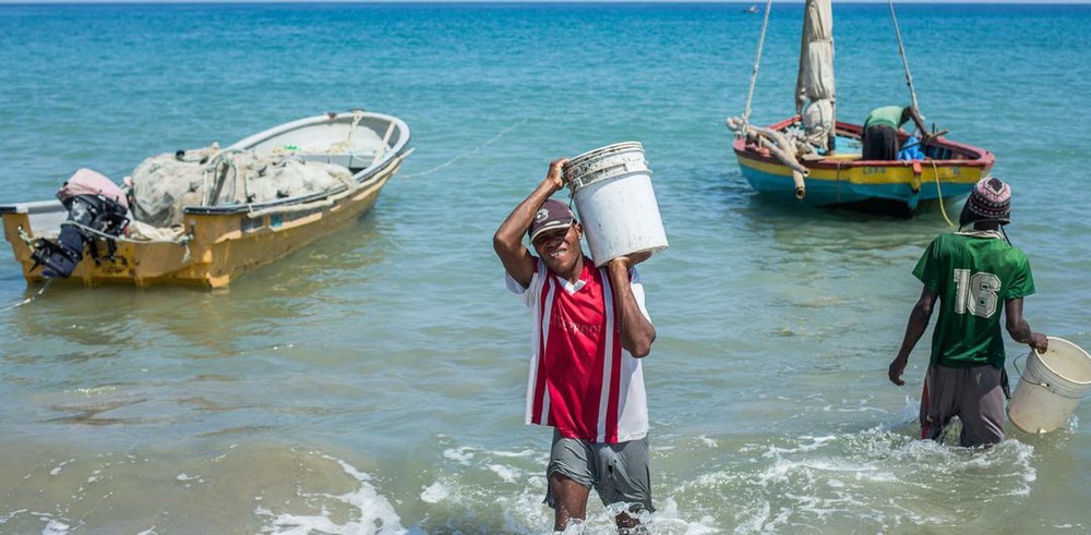 可持續漁業正在改善海地的生計。
