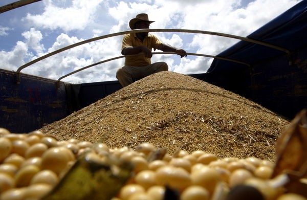 2022年巴西糧食總產量將達2億6140萬噸。