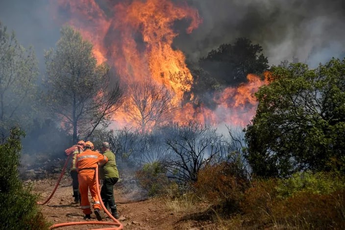 法南部地區山火過火面積達 1000 公頃