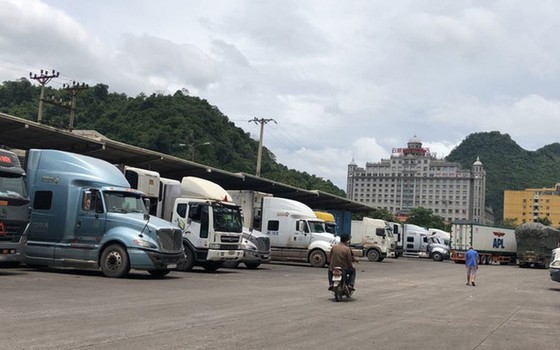 运载越南农产品的卡车在谅山新清边境口岸等候，准备出口到中国。
