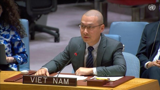 越南常驻联合国代表团临时代办阮黄原公使在辩论会上发表讲话。(越通社)