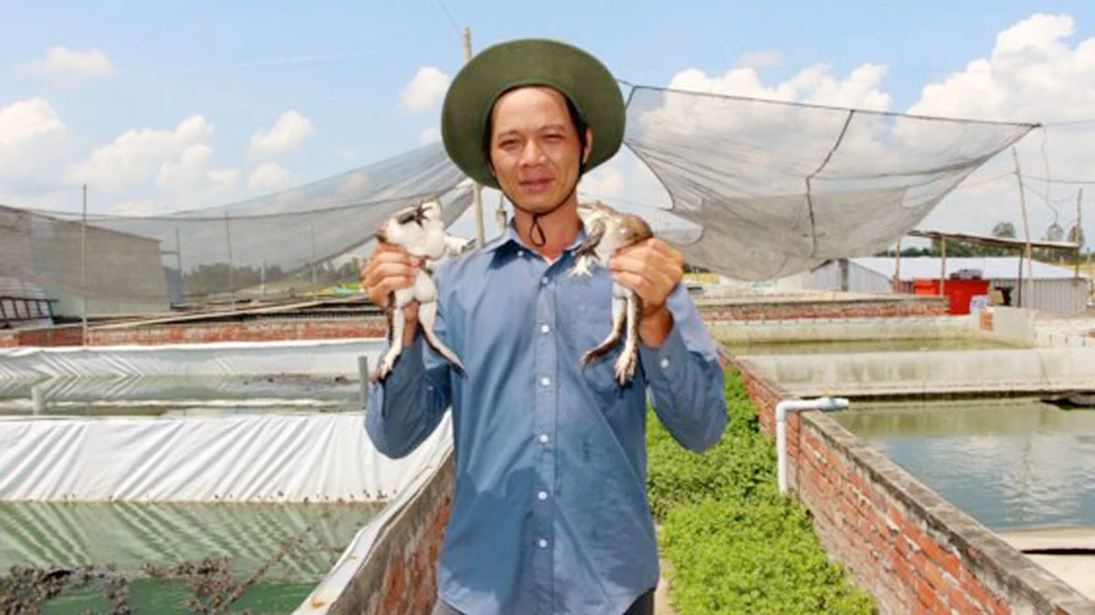 Nguyễn Văn Nữa bên trang trại nuôi ếch của mình