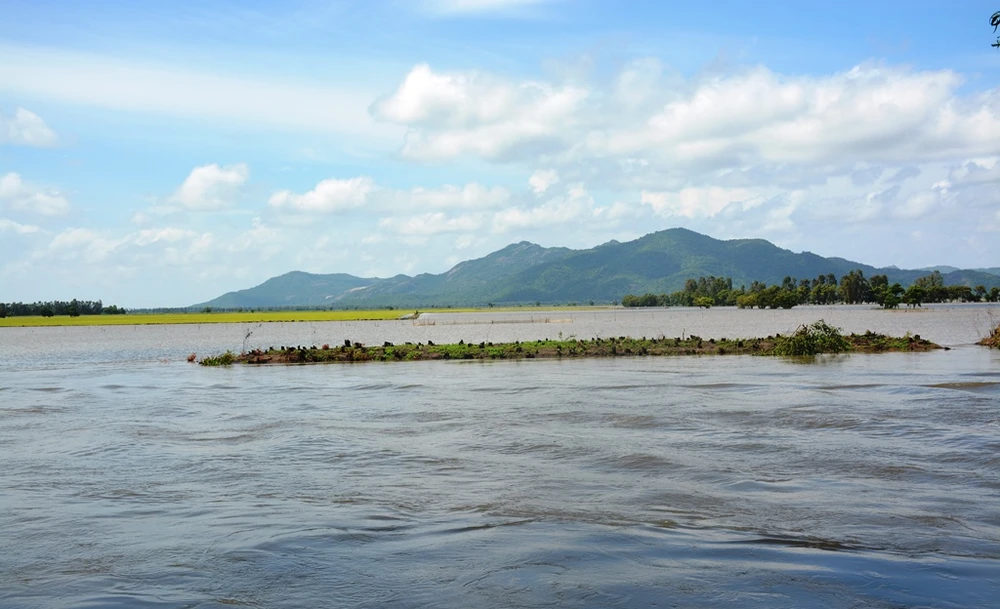 Nước lũ từ Campuchia chảy rất mạnh về vùng biên giới Tri Tôn. Ảnh: HUỲNH LỢI