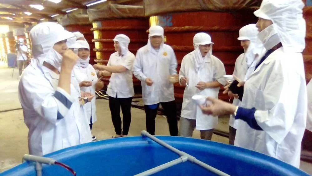 Đoàn công tác khảo sát sản xuất nước mắm truyền thống ở đảo Phú Quốc