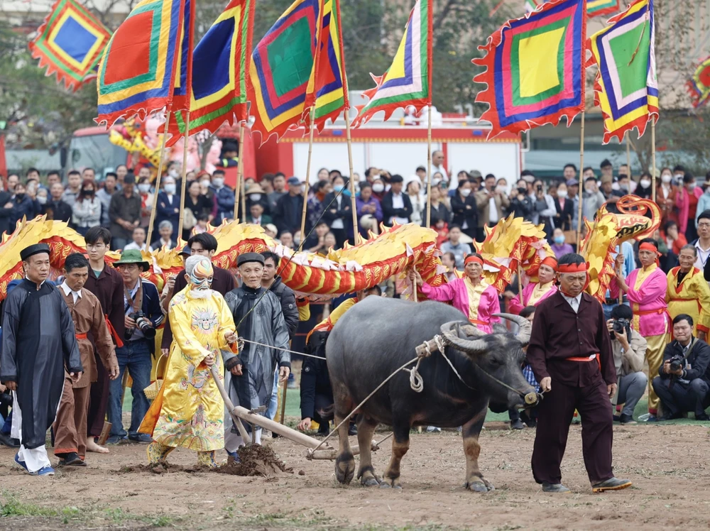 Tái hiện cảnh vua Lê Đại Hành xuống ruộng cày do người cao tuổi trong làng thực hiện. Ảnh: VIẾT CHUNG