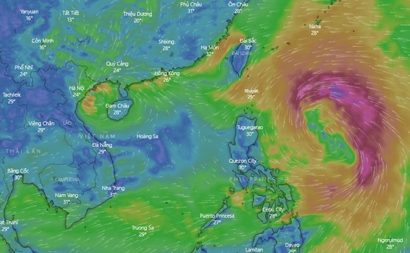 7號颱風變弱成熱帶低氣壓    圓規颱風加強