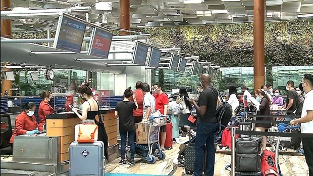 國際遊客在新山一機場辦理手續。 圖自越通社