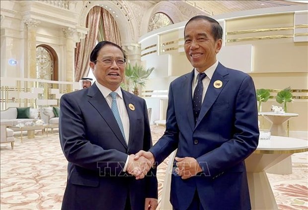 政府总理范明政会见印度尼西亚总统佐科·维多多。图自越通社