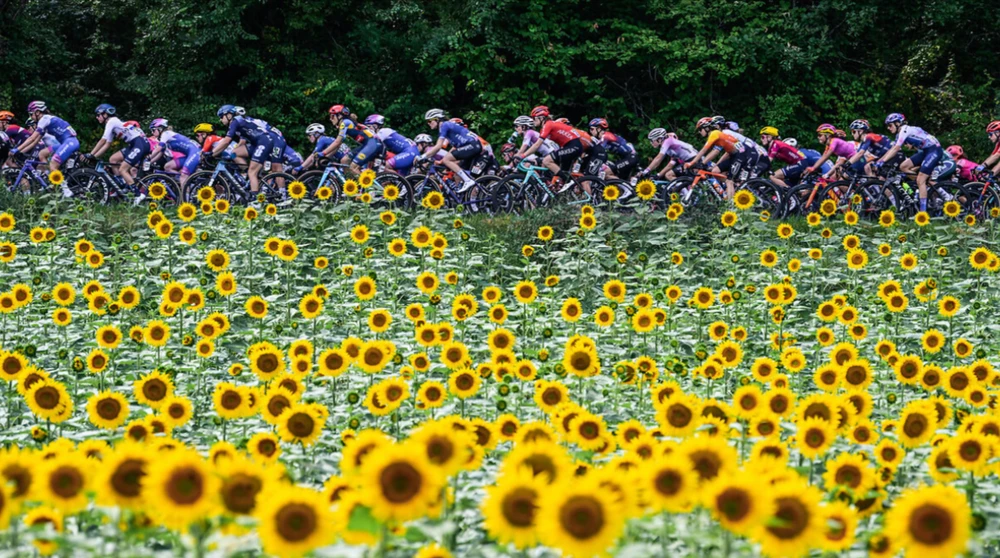 Tour de France Femmes là cuộc đua Tour de France dành cho nữ