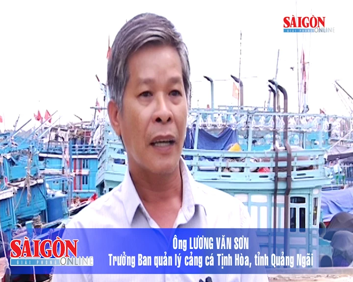 Quảng Ngãi: Quá tải tàu cá neo đậu ở cảng neo trú tàu Tịnh Hòa