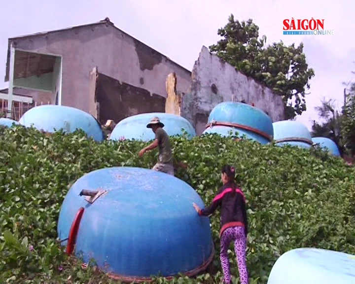 Quảng Ngãi: Người dân làng chài Lệ Thủy thấp thỏm trong mùa mưa bão