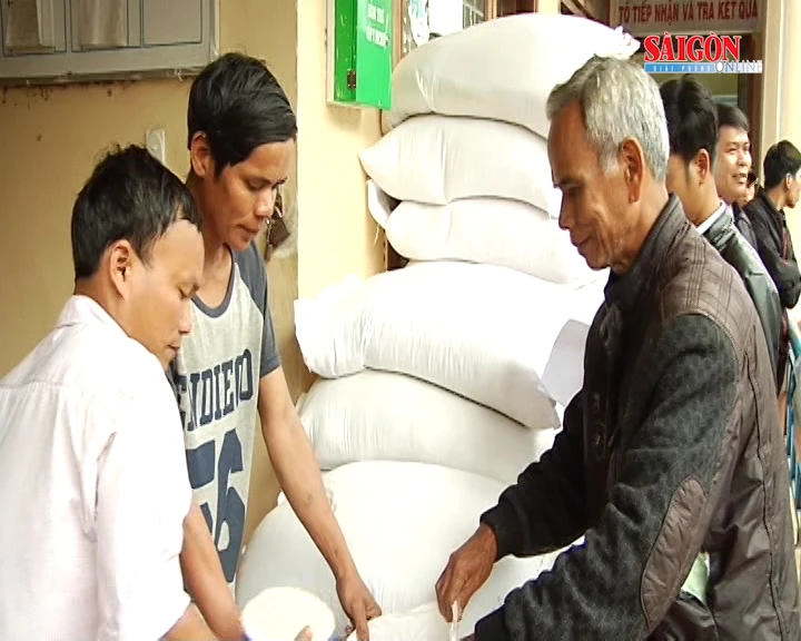 1.000 tấn gạo hỗ trợ người dân vùng lũ