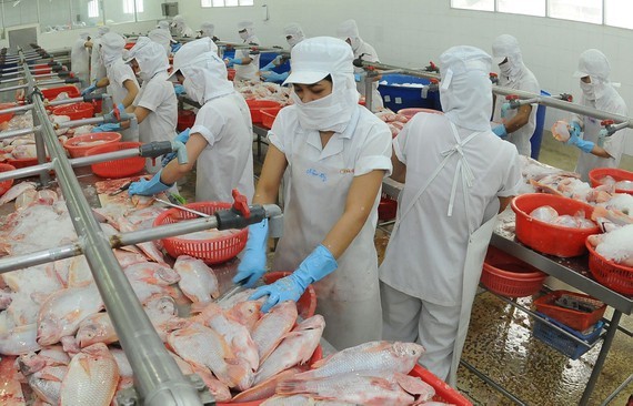 Fish is one of types of food that can alternate pork. (Photo: SGGP)