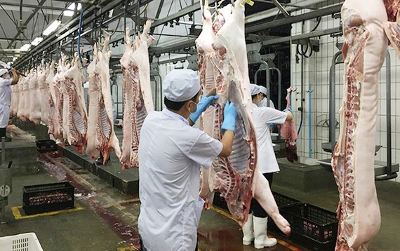 Pork production line of Vissan. (Photo: SGGP)