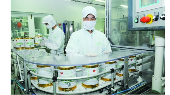 The production of dairy products at Nutifood. (Photo: SGGP)