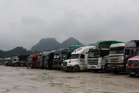 Thousands of trucks waiting for customs clearance at Tan Thanh Border Gate. (Photo: SGGP)