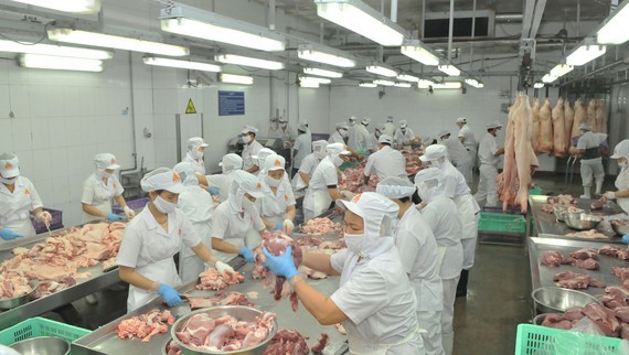 Workers process pork for domestic consumption demand at Vissan Company. (Photo: SGGP)
