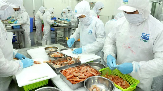 Production at Saigon Food Company. (Photo: SGGP)