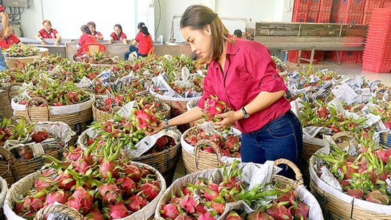 Vegetable, fruit exports reach US$2.5 billion in nine months