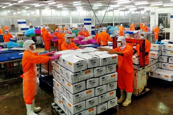 Workers pack high-tech pangasius products for export at Nam Viet Group. (Photo: SGGP)