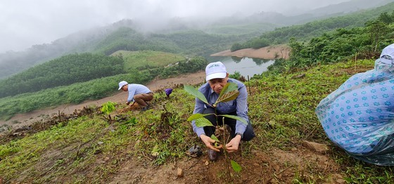 Mr. Hua Duc Nhi, Chairman of the Vietnam Forest Owners Association, plants trees in Ke Village. (Photo: SGGP)