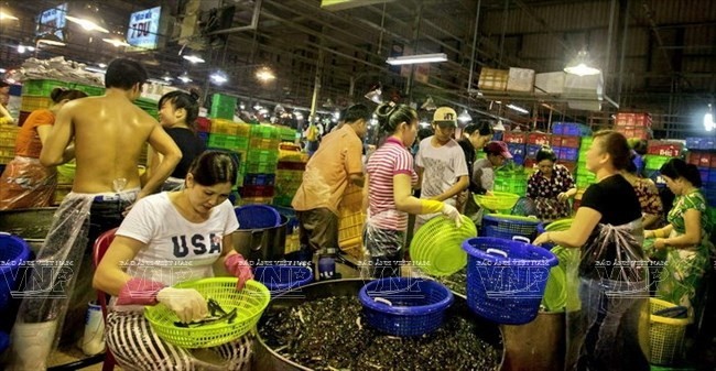 Part of the seafood section at the Binh Dien wholesale market (Photo: VNA)