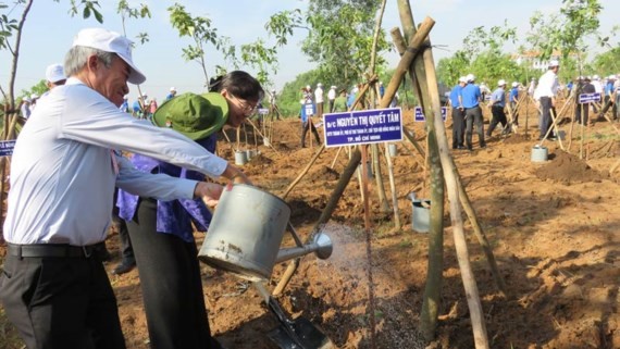 Tree planting festival is organized in HCM City on May 18. (Photo: Sggp)