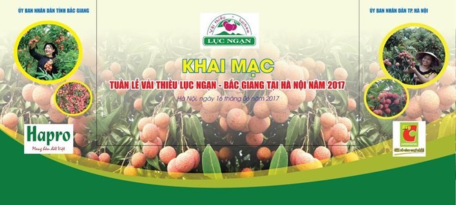 Luc Ngan "Thieu" lychee week opens in Hanoi (Photo: san24h.vn)