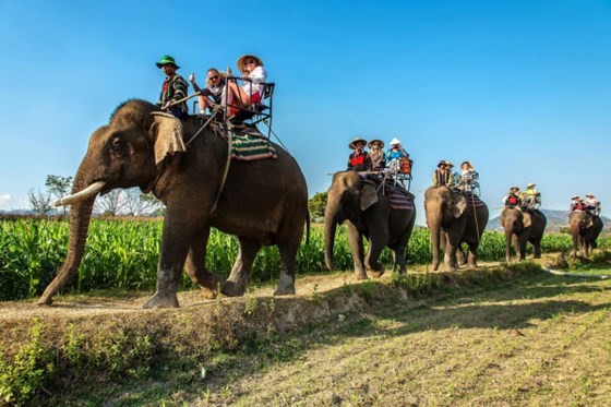 "Elephant riding" by Nguyen Huy Son