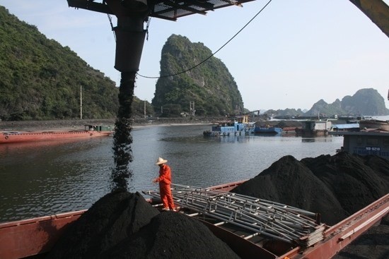 Deputy Prime Minister Trinh Dinh Dung has approved ​a proposal to build a coal shipment port in the southern region (Photo: nangluongvietnam.vn)
