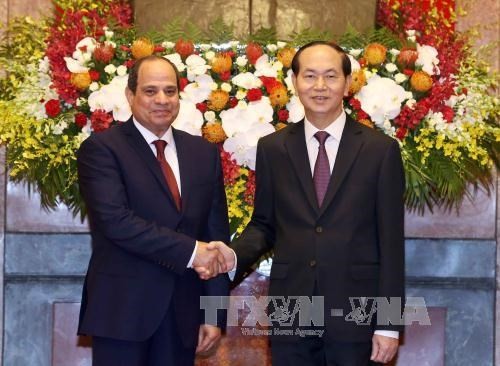 President Tran Dai Quang (R) and his Egyptian counterpart Abdel Fattah el-Sisi (Source: VNA)