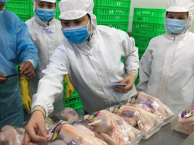 Employees stick stamps with origin and other details on poultry meat at San Ha Company in Long An. (Photo: www.nld.com.vn)