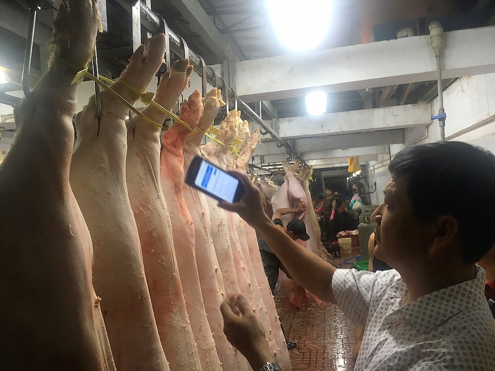 Officials checking pork information at Binh Tan slaughtering house (Photo: SGGP)