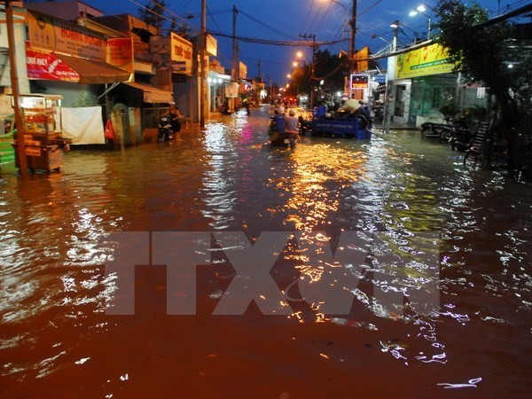 HCM City faces risks from serious flooding caused by rising tides, torrential rains and water discharge (Photo: VNA)