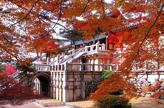  Bulguksa Temple in Gyeongju