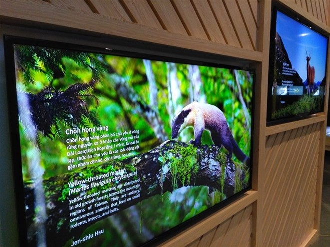 The exhibition helps people get close to nature. (Source: VNA)