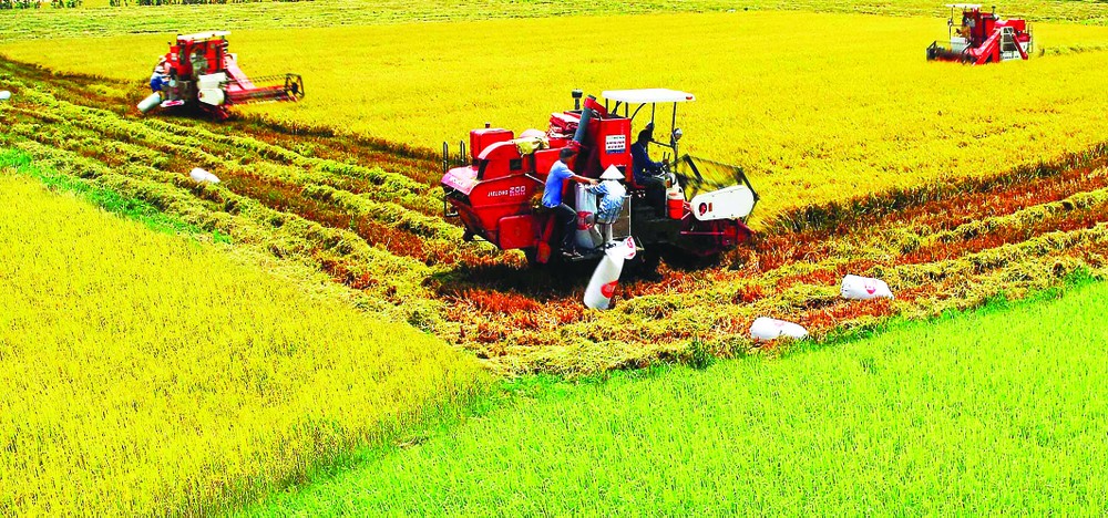 Mekong Delta  boosts agricultural mechanization to enhance productivity. (Photo: Sggp)