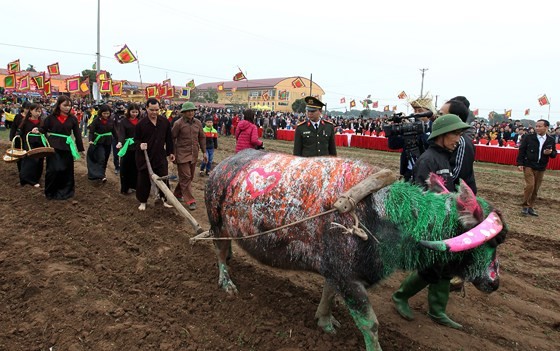Tich Dien ploughing festival opens in Ha Nam