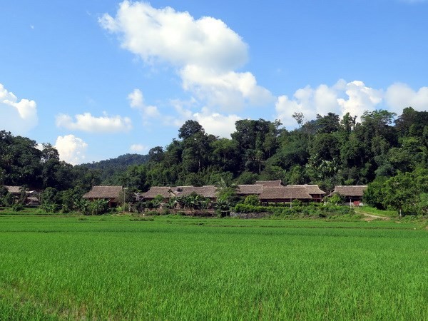 Culture - tourism village in Tan Trao commune (Photo VNA)