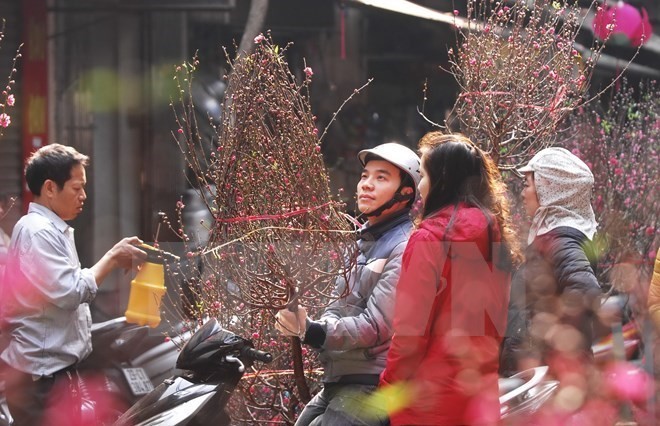 A man holds up a branch of peach blossom, which is a key feature of Vietnam's Lunar New Year traditions (Photo: VNA)