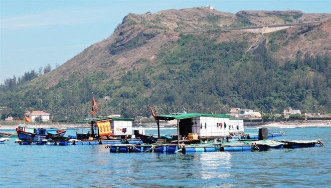 An aquatic farm is built in the sea off Ly Son Island. The central province of Quang Ngai has allocated funds to preserve and protect the Ly Son marine protected area for the 2018-22 period. (Source: VNA) 