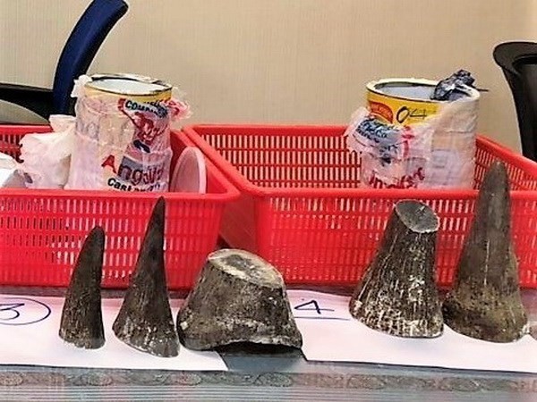 Rhino horns seized at the airport (Source: VNA)