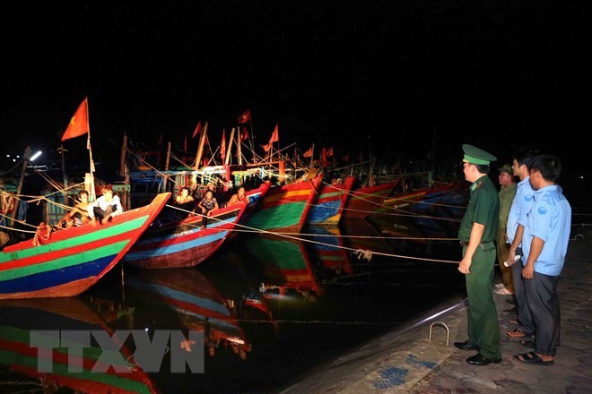 A team of border guards and representatives from the Cua Sot fishing port's management board in Ha Tinh province carry out a patrol in a shelter area for boats (Source: VNA)